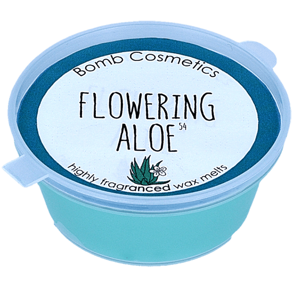 Flowering Aloe Mini Melt